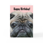 Happy Birthday Pug Dog greeting card
