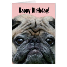 Happy Birthday Pug Dog greeting card