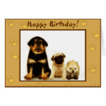 Happy Birthday puppies greeting card