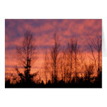 Happy Birthday - Purple Sunset Greeting Card