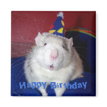 Happy Birthday Rat Magnet