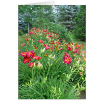 Happy Birthday -Red Lily Garden II Card