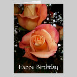 Happy Birthday Rose Card cards