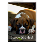 Happy Birthday Sleepy boxer puppy greeting card