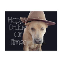 Happy Birthday Sonny Postcards