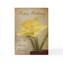 Happy Birthday, Special Friend cards