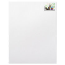 Happy Birthday Squirrel Customized Letterhead
