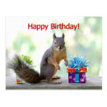 Happy Birthday Squirrel Post Card