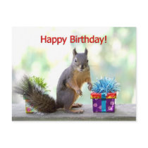 Happy Birthday Squirrel Post Card