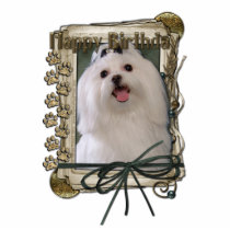 Happy Birthday - Stone Paws - Maltese