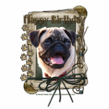 Happy Birthday - Stone Paws - Pug Photo Sculptures