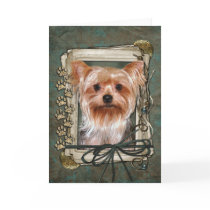 Happy Birthday - Stone Paws - Yorkshire Terrier