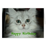 Happy Birthday Suprise Kitten Card