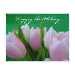 Happy Birthday - Tulips Postcard