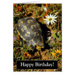 Happy Birthday Turtle Card
