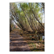 Happy Birthday -  Washed Out Path Cards