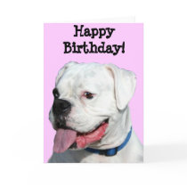 Happy Birthday White Boxer greeting card