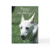 Happy Birthday White German Shepherd greeting card