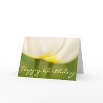 Happy Birthday White Tulips Card