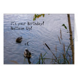 Happy Birthday Wood Ducks Greeting Cards