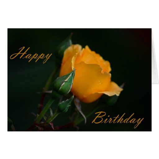 All 101+ Images happy birthday birthday wishes with yellow roses Updated