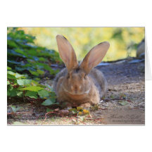 Happy Bunny Day! Greeting Card