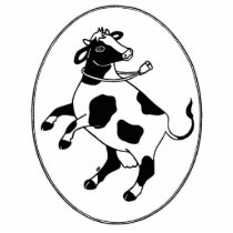 Happy Cow Photo Sculpture Magnet