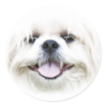 Happy dog face sticker