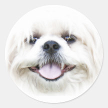 Happy dog face sticker