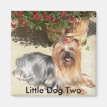 happy dog, Little Dog Two - Customized Refrigerator Magnets
