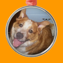 Happy Dog ornaments