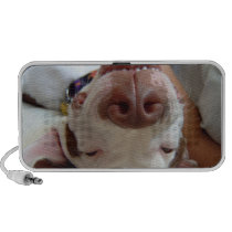 Happy Dog Speakers