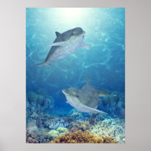 happy dolphins poster