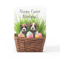 Happy Easter Birthday boxer pups card