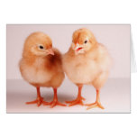 Happy Easter! Card