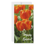Happy Easter Card Photo Card Template