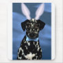 Happy Easter Dalmation Bunny