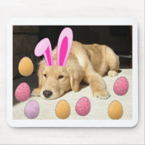 Happy Easter Golden Retriever