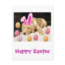 Happy Easter Golden Retriever