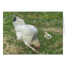 Happy Easter in Czech Cards