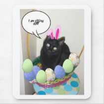 Happy Easter Kitty
