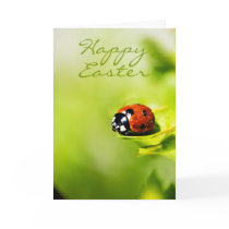 Happy Easter Ladybird On A Horthorn Bush - Spring Cards