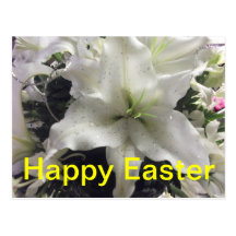 Happy Easter Lily Postcard