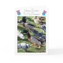 Happy Easter Mum And Dad Card - Ducks