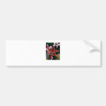 Happy Easter Tiger Lily The MUSEUM Zazzle Gifts Bumper Stickers