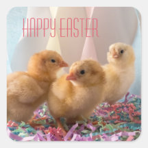Happy Easter with Three Yellow Baby Chicks Square Sticker