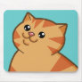 Happy Fat Orange Cat Mouse Pads