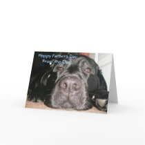 , Happy Fathers Cards