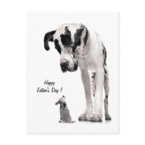 Happy Father's Day ! -