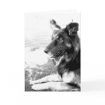 Happy Father's Day Belgian Shepherd Dog Card